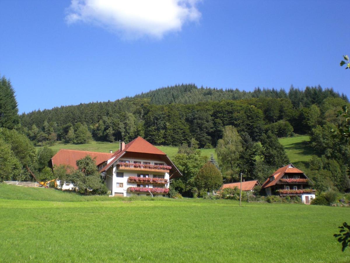 Geigerbauernhof Διαμέρισμα Mühlenbach Εξωτερικό φωτογραφία
