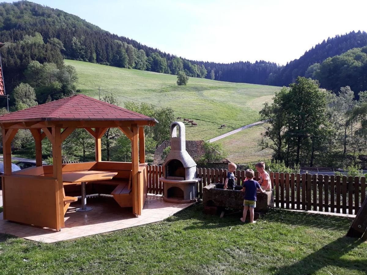 Geigerbauernhof Διαμέρισμα Mühlenbach Εξωτερικό φωτογραφία