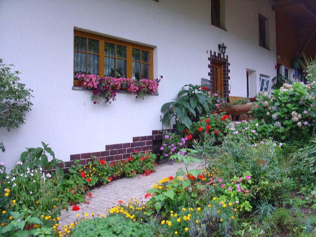 Geigerbauernhof Διαμέρισμα Mühlenbach Εξωτερικό φωτογραφία